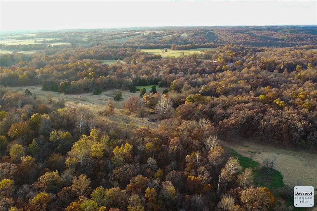 Excellent piece of 40 acres (TBD survey) with both woods and open space. Much of it is level and buildable but the south end contains a rough, deep, dry drain. The north west corner extends to the state line but the entire extent of the northern border is along Brush Rd. This land is 20 minutes from Lincoln, 10 minutes south of Siloam Springs, and 30 minutes to Fayetteville. If you're looking for a nice piece of hunting ground or want to build a new home, shop, and outdoor trails, or you just want to buy some land in Washington County Arkansas for its future value, this place deserves a close look!