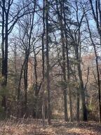 ACREAGE Looking for Ownership on Crow Mountain close to town well here it is. A couple level spots to build on and have view to go with it. Road has been roughed in and Utlities are at the street.