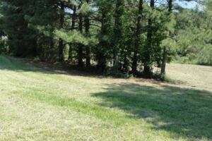 Buyer would need to check with the city of Knoxville to know if mobile homes were allowed and if so the restrictions.