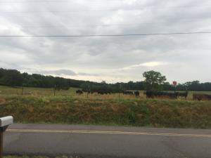 New Hope Acres - Residential