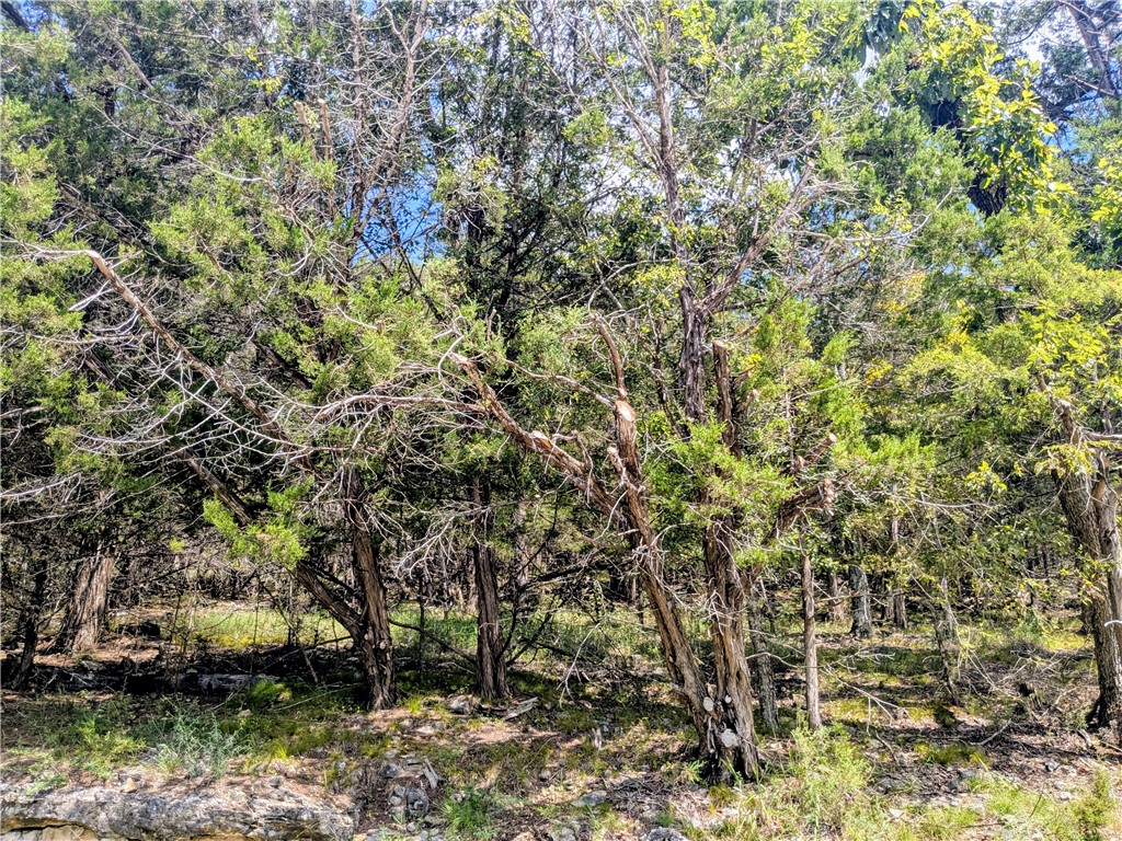 Unit 117 Holiday Island - Land