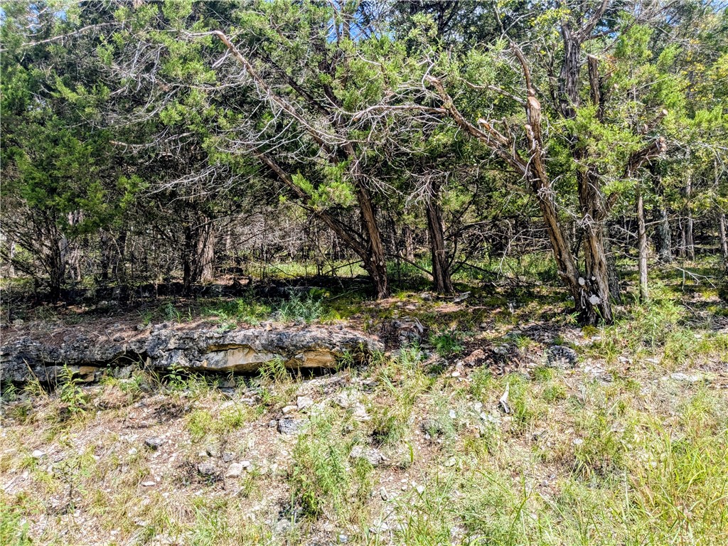 Unit 117 Holiday Island - Land