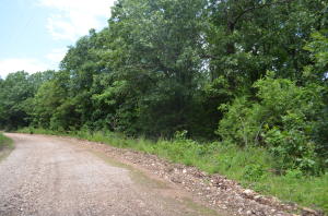 This large wooded lot is perfect for outdoor fun. ATV's, Shooting, whatever you like. Plus you'll have plenty of privacy. It's just a short drive to Lake Bull Shoals. It's about 25 minutes to Harrison and approximately 35 minutes to Branson. MO. Build your dream home here!