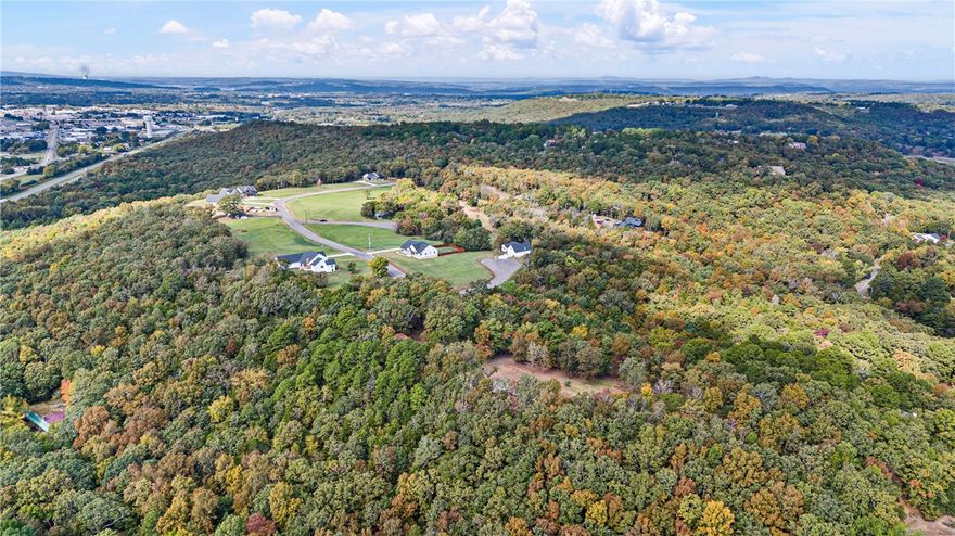 1 +/- Acre Lot. This joins, but is not part of the newest Eagle Crest Subdivision neighborhood. This property is right beside Richland Hills, Cove Landing and Cliff & Stream. Just minutes from town with amazing views of Galla Creek Lake, Russellville and you can even see Mtn Nebo. These will not last long at all. Schedule your showing today. Preliminary perc test already performed and passed. Fiber Internet.