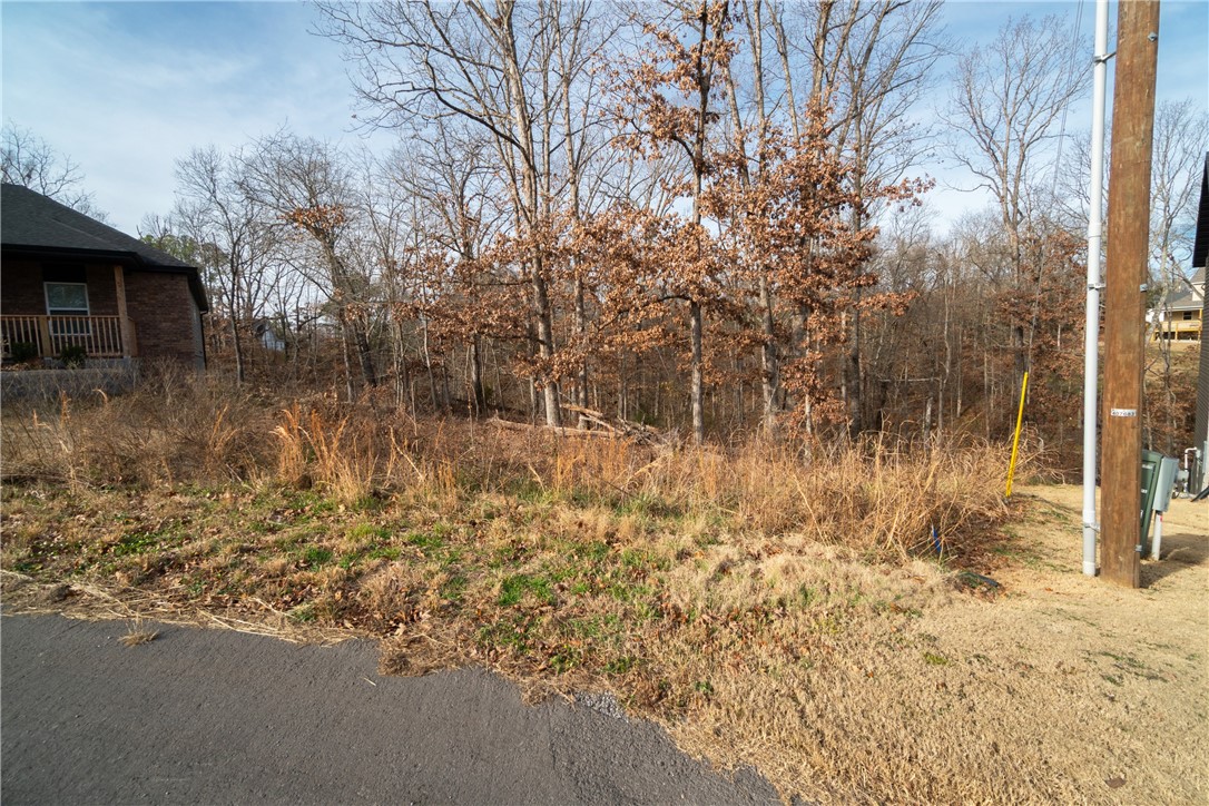 Carrick Sub Bvv - Land