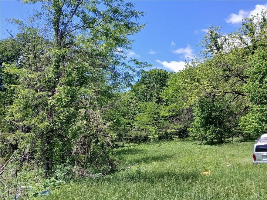 Hunting Enthusiasts check this out! Large Acreage of rolling hills and wooded ground makes this piece a future site of private paradise. 10 pastured acres along with 70 wooded will have you creating new adventures on this 80 acres retreat. Wet weather creek lines the road upon entry -Originally the family homestead, the property offers a septic and well both left behind after a fire. The home foundation still stands in memory of years gone by, along with the old barn full of nostalgia. With some clean up, this diamond in the rough would make for a getaway cabin. Close enough to town for the conveniences, but hidden away from the everyday hustle. Family Cemetery on site will be surveyed off and registered in the county prior to closing.