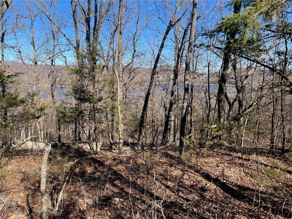 This fabulous lot has wonderful lake views and is part of Indian Point Sub in Garfield AR. Dam Site Park and Indian Creek Park are both a short drive from this beautiful lot with several public boat launches nearby.