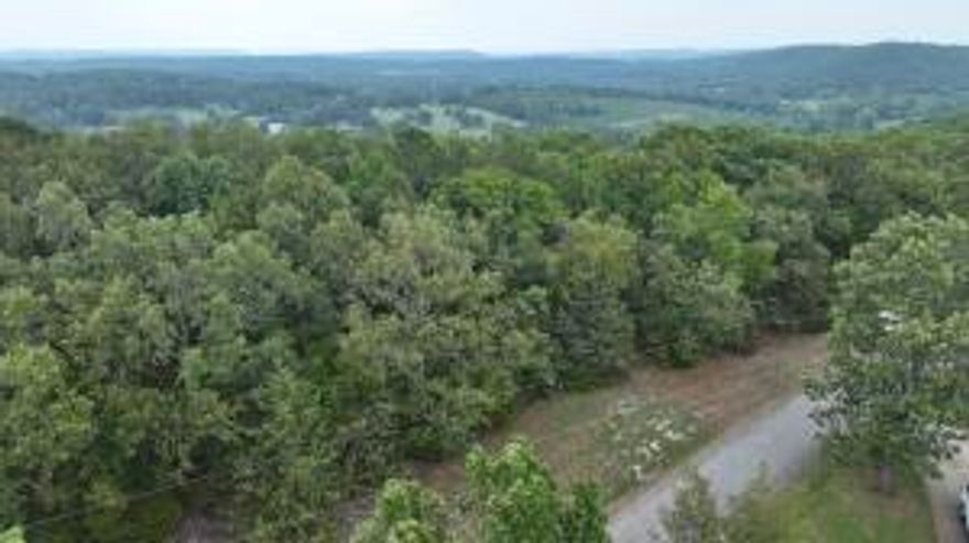 This 1.7 acres looking over the River Valley awaits your dream home. Lot features mix of hardwoods and over looks Lake Dardanelle. An absolute dream for someone wanting to build their home!