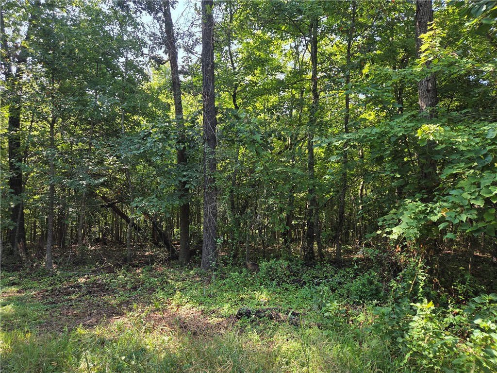 .41 acres in central Bella Vista. Near bike trails, restaurants and all things Bella Vista. Home is at end of road on right side. Only 2 homes on left side of street , very quiet area. Needs to be cleared but fairly flat in front part of lot and priced right. Build your dream! Bella Vista offers 7 lakes, golf courses, recreational facilities. Rural living yet close to Bentonville, Pea Ridge and Rogers. Outdoor activity for lake fun, golf fun, bike enthusiasts. Don't want to build, then just buy it to enjoy all the ammenities this city has to offer.