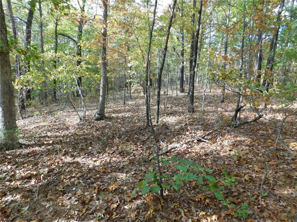 4.33 acres with great views of the surrounding mountains in beautiful Newton County in the Buffalo National River region of the Ozark Mountains of Arkansas. Perfect location being only 4 miles from Jasper with highway frontage and utilities available. Great location to build your home or rental property. Abundance of wildlife for hunting or viewing. The property is located just 3.1 miles from the Hasty Public Access and only 7.7 miles from the Carver Access of the Buffalo National River for canoeing and fishing. Located in Newton County and Heart of the Ozark Mountains. Near the Ozark National Forest which provides many recreational opportunities to include hiking, hunting, horseback riding, bike riding or ATV riding.