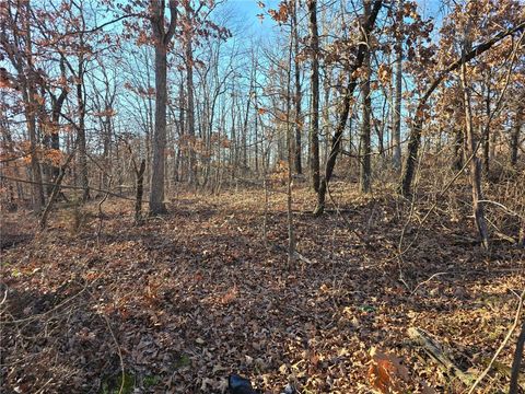 Photo of Lot 13 Denver Lane, Bella Vista, AR 72714 (MLS # 1332628)