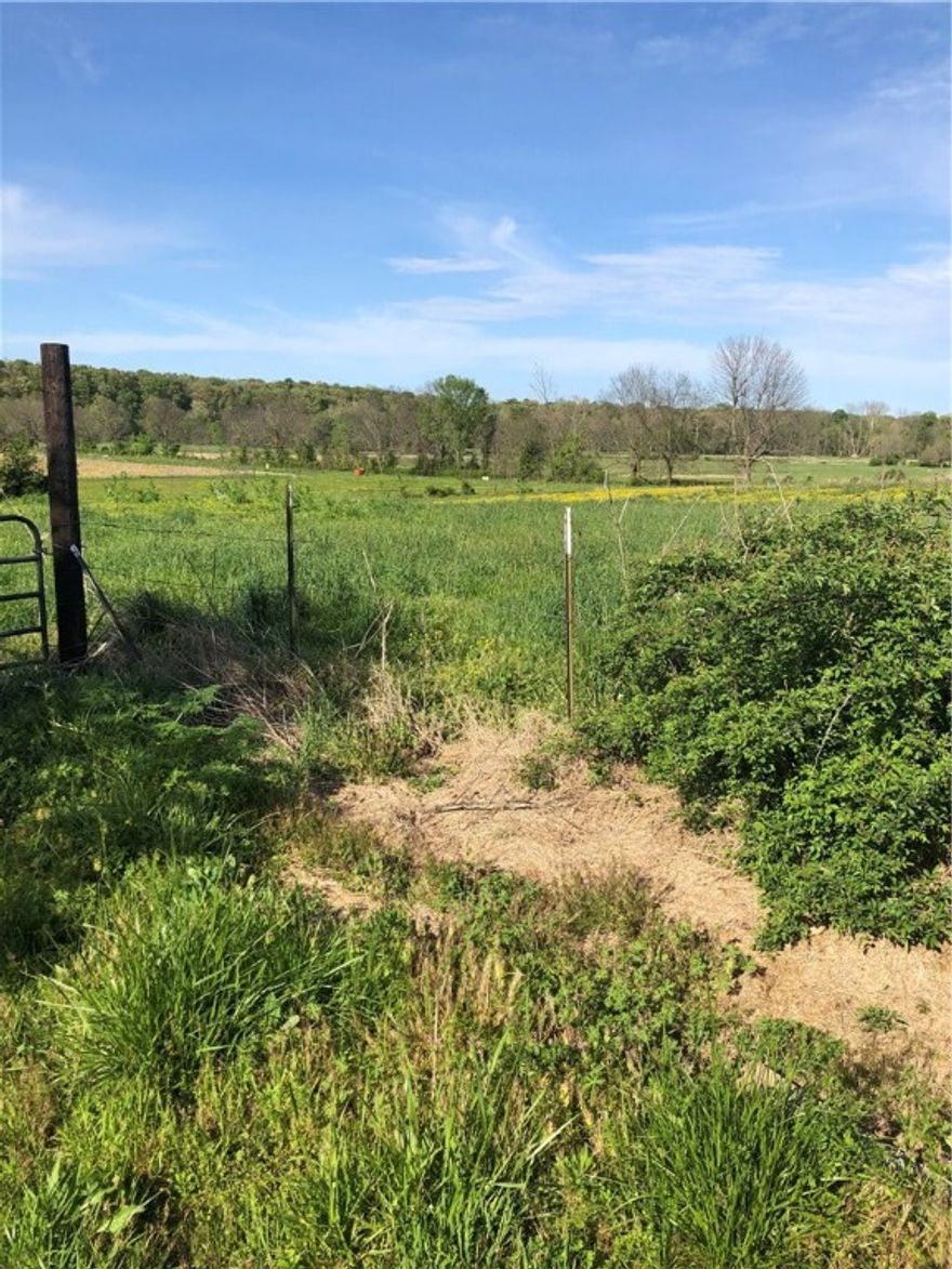 54.93 acres W Hwy 112 frontage. Excellent development potential, 29+ acres above flood plan.