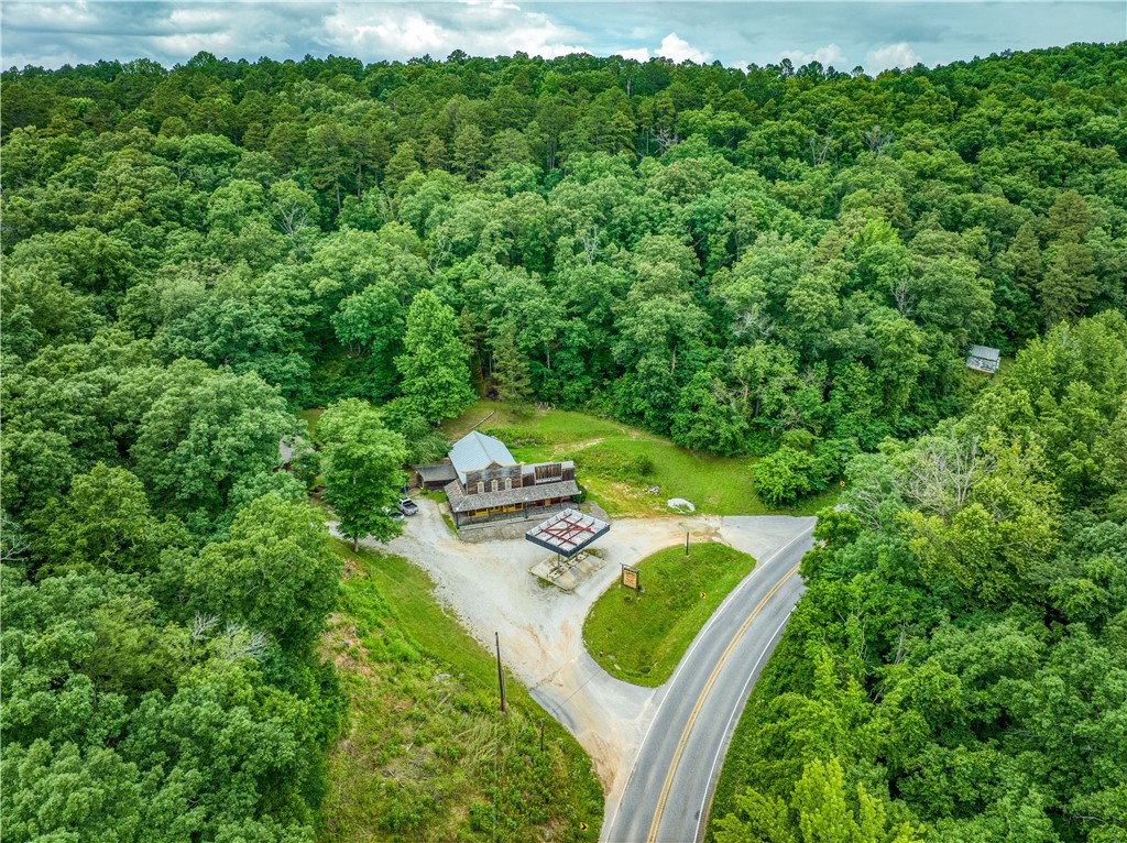 Incredible investment opportunity on 4.69 acres bordering the Ozark National Forest on two sides in beautiful Newton County, Arkansas—less than 3 miles to Jasper and within 5 miles of three Buffalo River access points. This unique property offers five potential income streams: a retail space with two offices, a recently updated 2 bed/1 bath apartment above, and two nightly rental cabins with strong occupancy rates. Property also features 2 shops/ storage spaces. A 4-sided billboard also provides additional passive income. Perfect for investors or those seeking a scenic live/work setup with built-in revenue in the heart of the Ozarks!