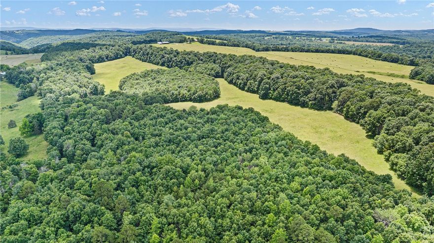 102 acres Prime recreational tract offering a stunning blend of natural features! Enjoy breathtaking mountain views, a spring-fed pond, and a wet weather creek flowing through the northeast corner of the property. This versatile piece features a perfect mix of mature timber, new growth timber, and open hay meadows, ideal for hunting, outdoor adventures, or building your dream getaway. Abundant wildlife roam the area, making it a true sportsman’s paradise. With utilities available at the highway, this tract combines convenience with seclusion and beauty. Don’t miss your chance to own a slice of the Arkansas​​‌​​​​‌​‌​​​‌‌​​​‌‌‌​​‌​​‌‌​​​​ outdoors!