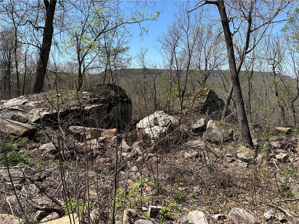 Round Mountain Estates - Land
