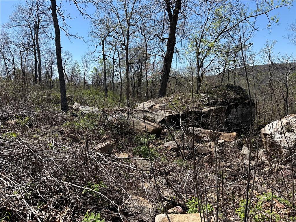 Round Mountain Estates - Land
