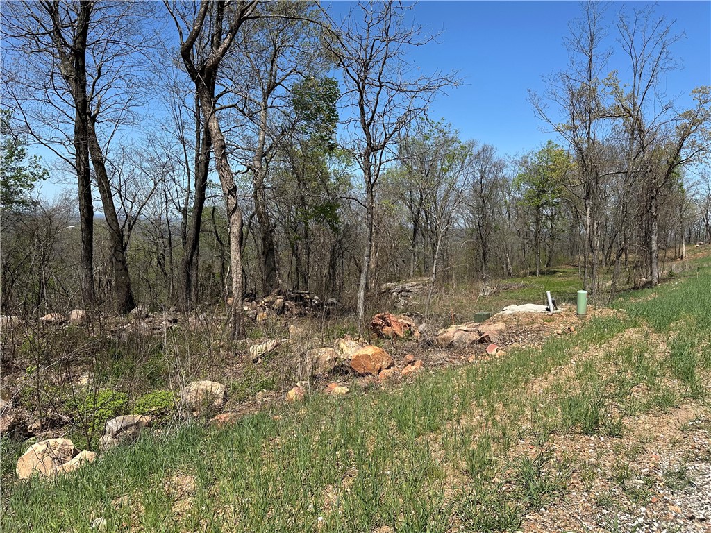 Round Mountain Estates - Land