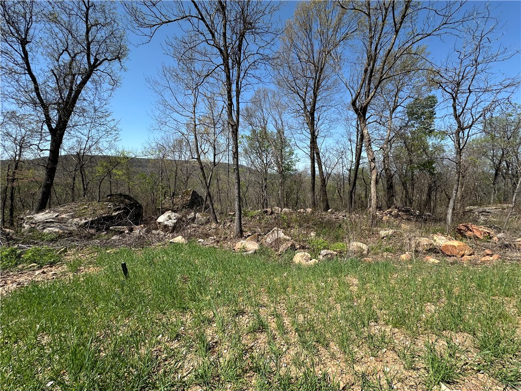 Round Mountain Estates - Land