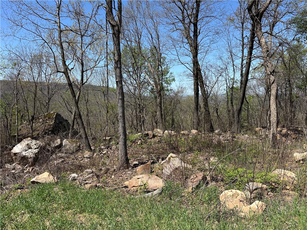 Lot 40 is ready to build on! It is 1.00 m/l acres, has beautiful boulders like you see in Colorado that can be incorporated into your build, is one of the bigger lots still available, and has breathtaking views! Round Mountain Estates is a new, master planned, exclusive subdivision located 10 minutes west of Harrison, AR. The following utilities are already on site, making the building process much easier for you: natural gas, fiber optic internet, electric, public water, and sewer. Visit http://www.RoundMountainLiving.com for additional info.