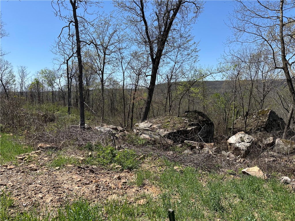 Round Mountain Estates - Land