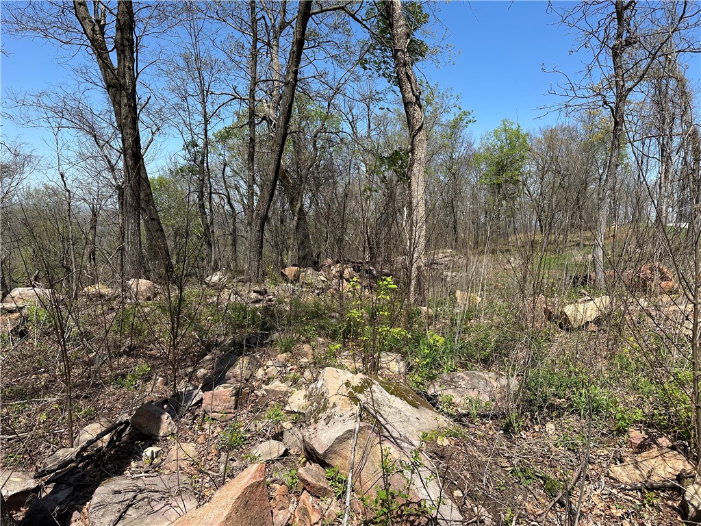 Round Mountain Estates - Land
