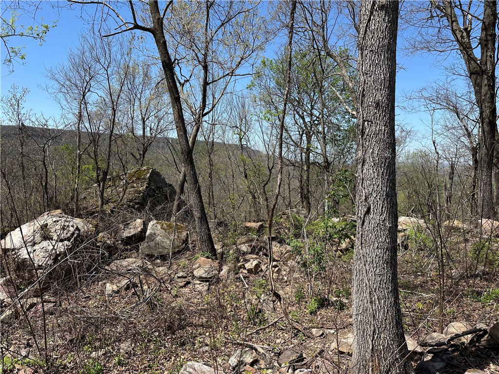 Round Mountain Estates - Land