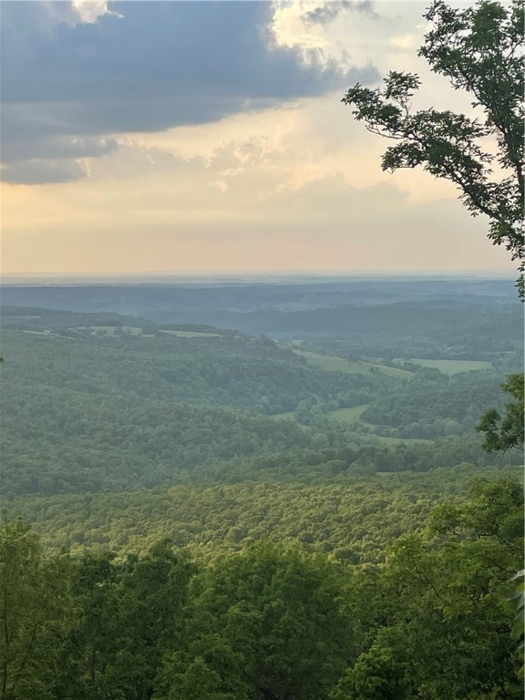 Round Mountain Estates - Land