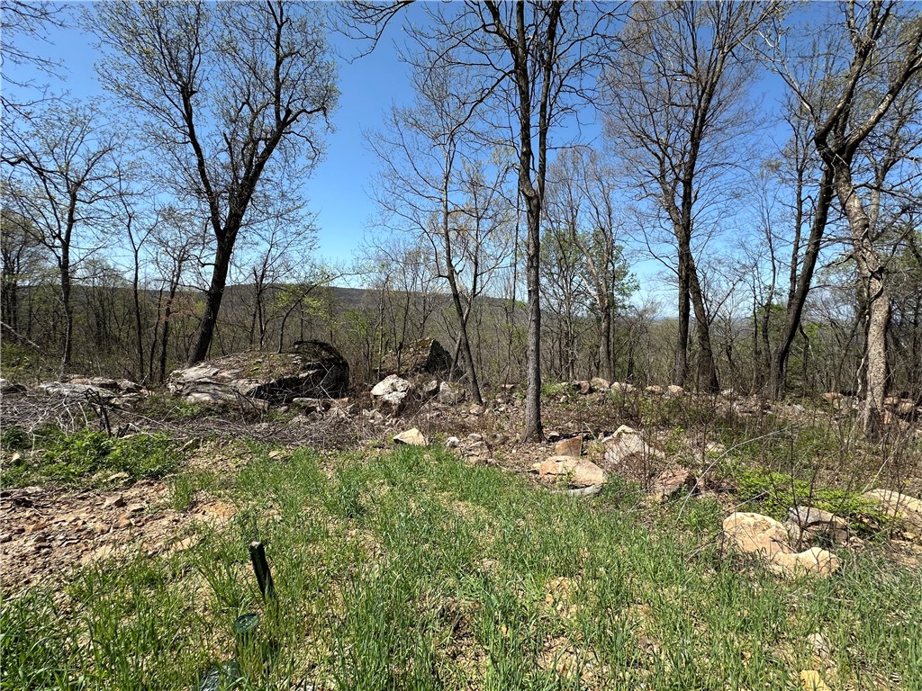 Round Mountain Estates - Land