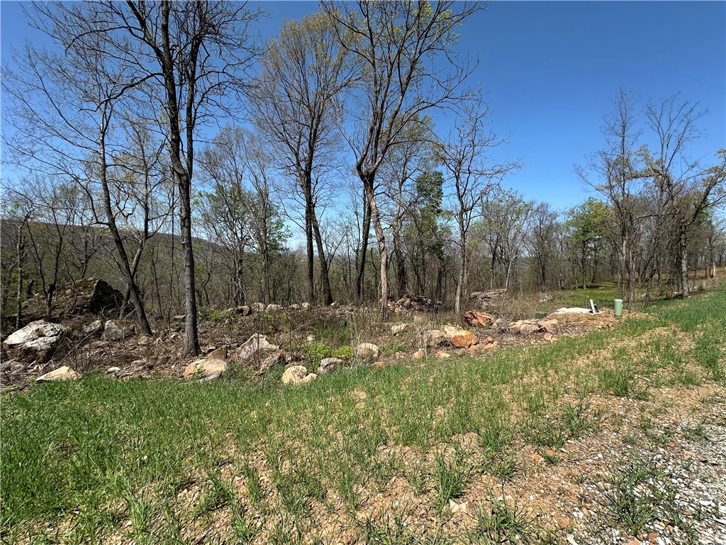Round Mountain Estates - Land