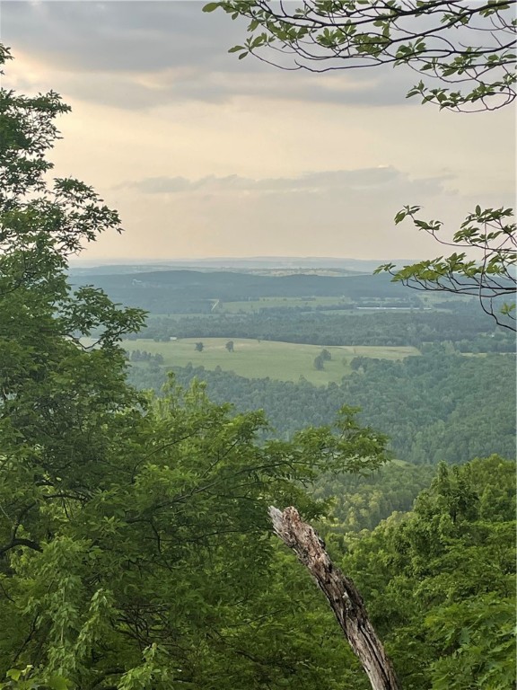 Round Mountain Estates - Land
