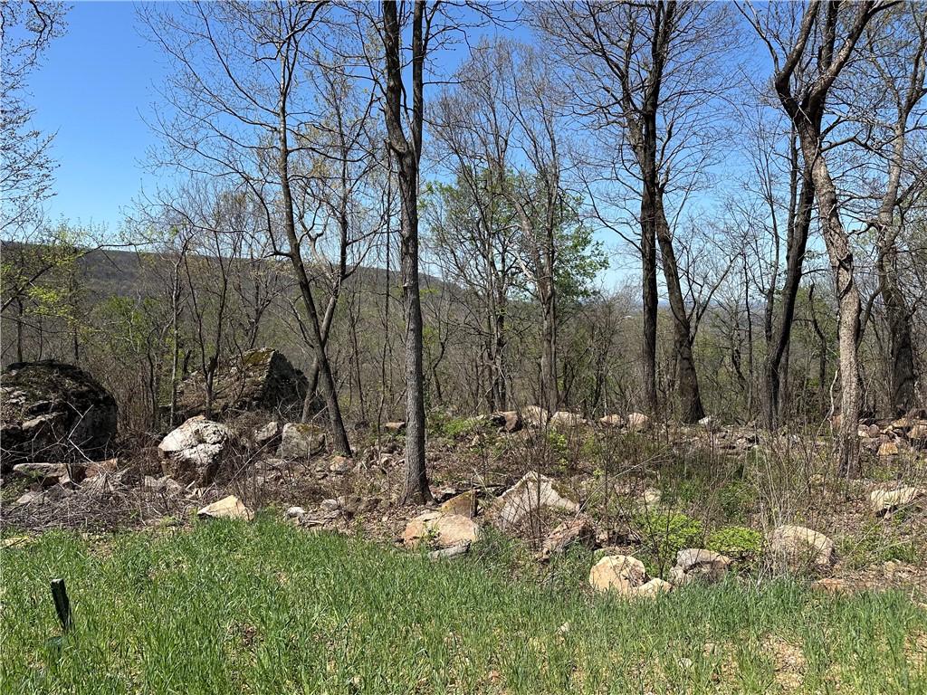 Round Mountain Estates - Land