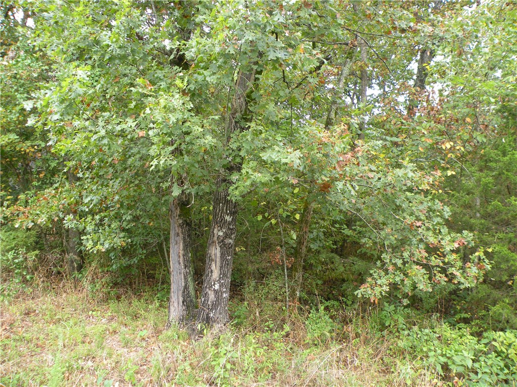 Level lot close to Hwy 187 and Holiday Island Marina is just down the street. Mature trees. Duplex is permitted.