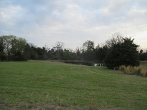 Own your own 40 acres up on the mountaintop! Possible owner financing on this Beautiful land ready for your dream home and livestock! Rolling, open pastures, good pond and lots of room to have your own Arkansan Paradise. Call today!