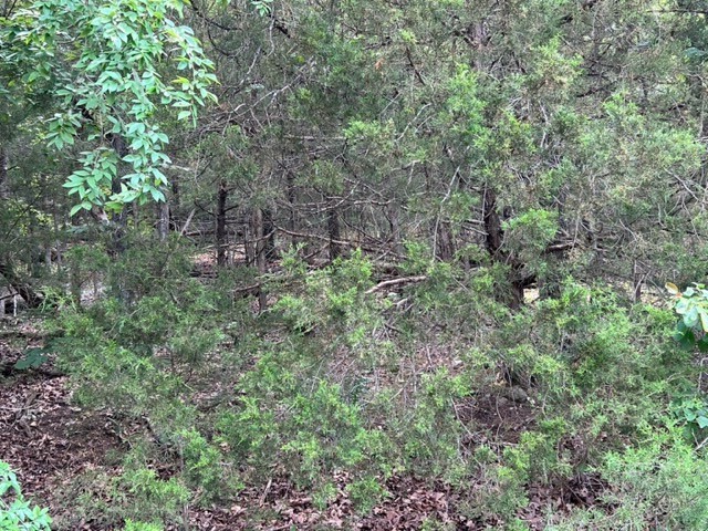 Unit 2 Holiday Island - Land