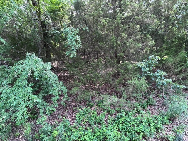 Unit 2 Holiday Island - Land