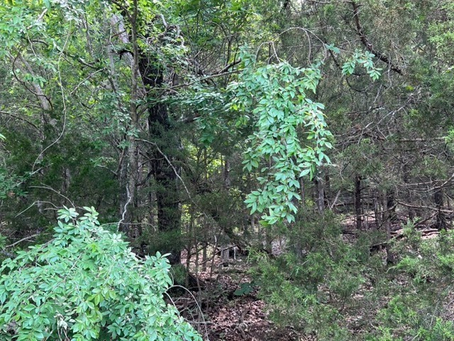 Unit 2 Holiday Island - Land