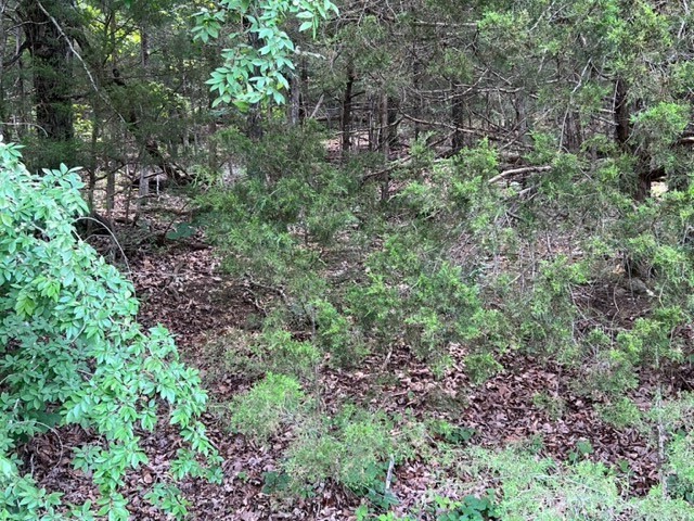 Unit 2 Holiday Island - Land