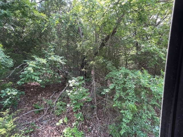 Unit 2 Holiday Island - Land