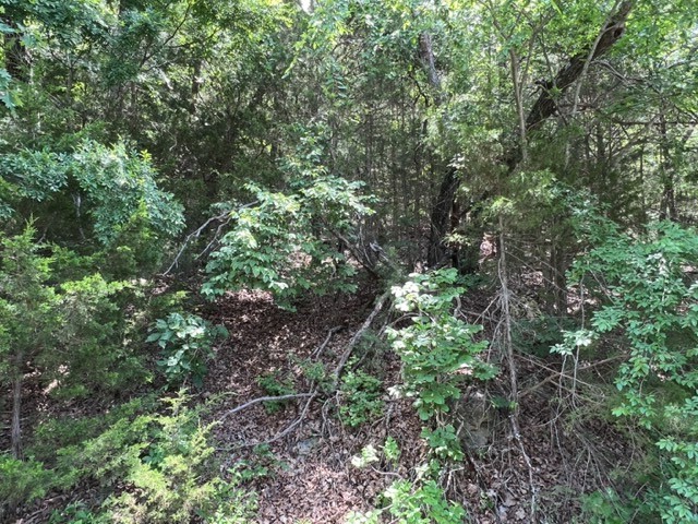 Unit 2 Holiday Island - Land