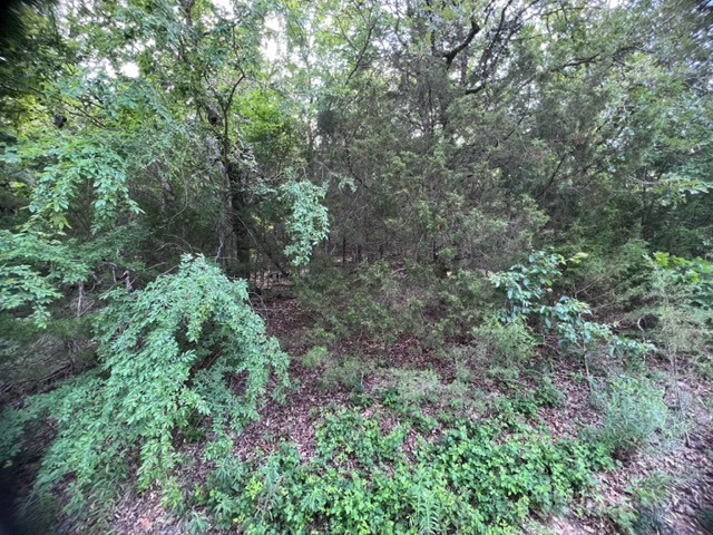 This 3/4 acre lot sits on the high side of the road. With a little clearing, you could have some awesome views of the valley. Several buildable spots. A utilities at the road ready for you to build your dream home. Enjoy the amenities of Holiday Island that include the marina, fishing docks, recreation center, swimming pool, golf courses, park, tennis courts, baseball diamond and more. Shopping, banking and restaurants close by. Eureka Springs is a 10 minute drive south. Branson is 45 minutes to the north east. Call today for your tour of the area and lot.