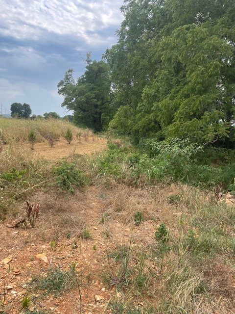 Riverside Estates Ph IV - Land