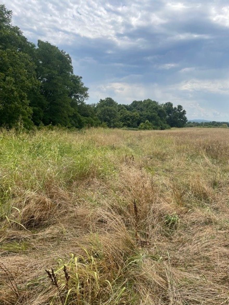 10 acres to build your forever dream home! This beautiful lot is located in Riverside Estates Subdivision in Goshen (Fayetteville schools).Fayetteville Water, available June 2026.