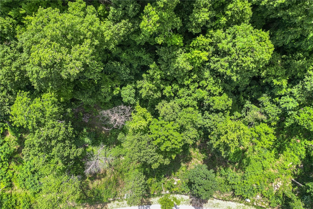Round Mountain Estates - Land