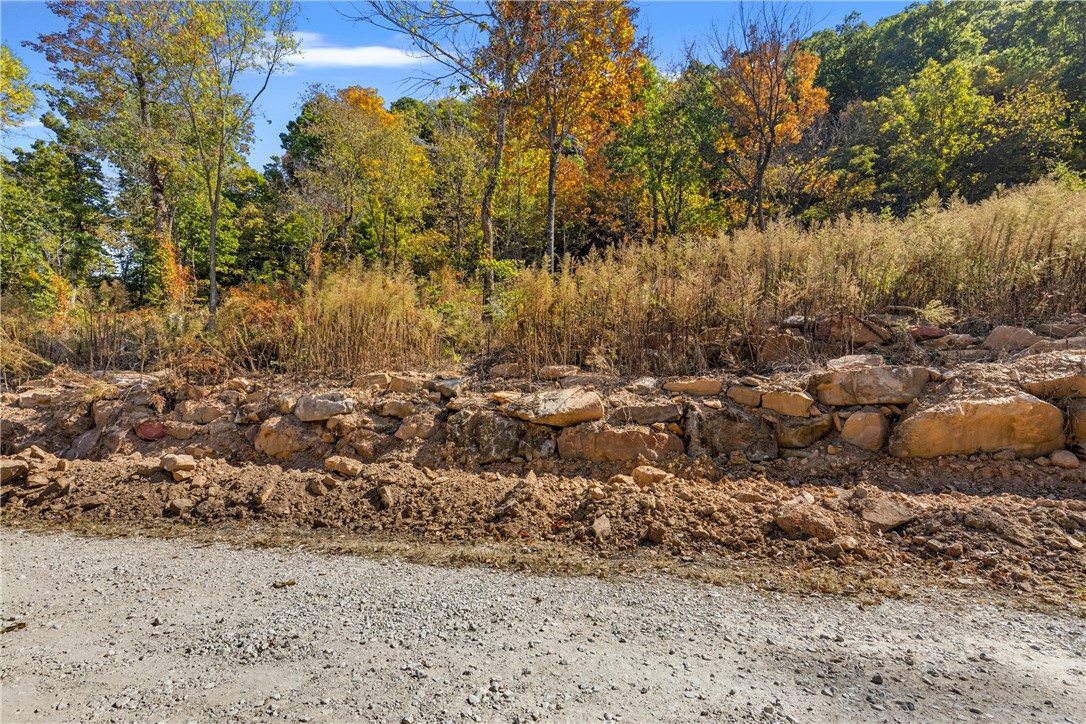 Come check out Lot 110 (0.80 m/l ac) at Round Mountain Estates. This lot offers ownership on both sides of Significance Summit, bluff line lying to the east and views from the highest elevation offered at RME. RME is a new, master planned, exclusive subdivision located 10 minutes west of Harrison, AR. The following utilities are already on site making the building process much easier for you; natural gas, fiber optic internet, electric, public water, and sewer. Interested in your family seeing the star lights instead of those city lights? RME is what you've been searching for! RME features a 350 +/- acre common area for its residents that includes a stocked fishing pond, Kissing Rock trail, natural springs to explore, Baby Canyon trail, incredible bluff lines to climb, and views for hundreds of miles that will not only take your breath away but will forever be etched in your memory! Neighborhood amenities coming soon.