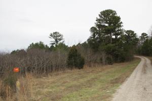 Easy Access to Hwy 65 to Harrison or Branson. Wooded, several building site. Rural water. Seller will sell either side. -7.17 acres on right side of driveway & 9.51 acres on left side of driveway.