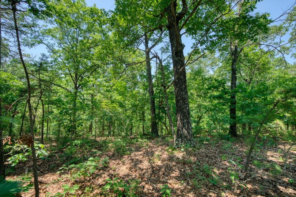 Hidden Valley Ranch Estates - Land