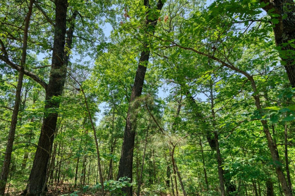 Hidden Valley Ranch Estates - Land