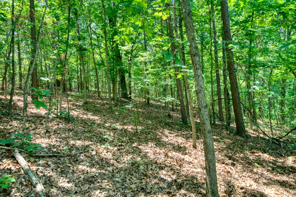 Hidden Valley Ranch Estates - Land