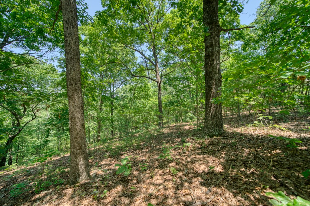 Hidden Valley Ranch Estates - Land