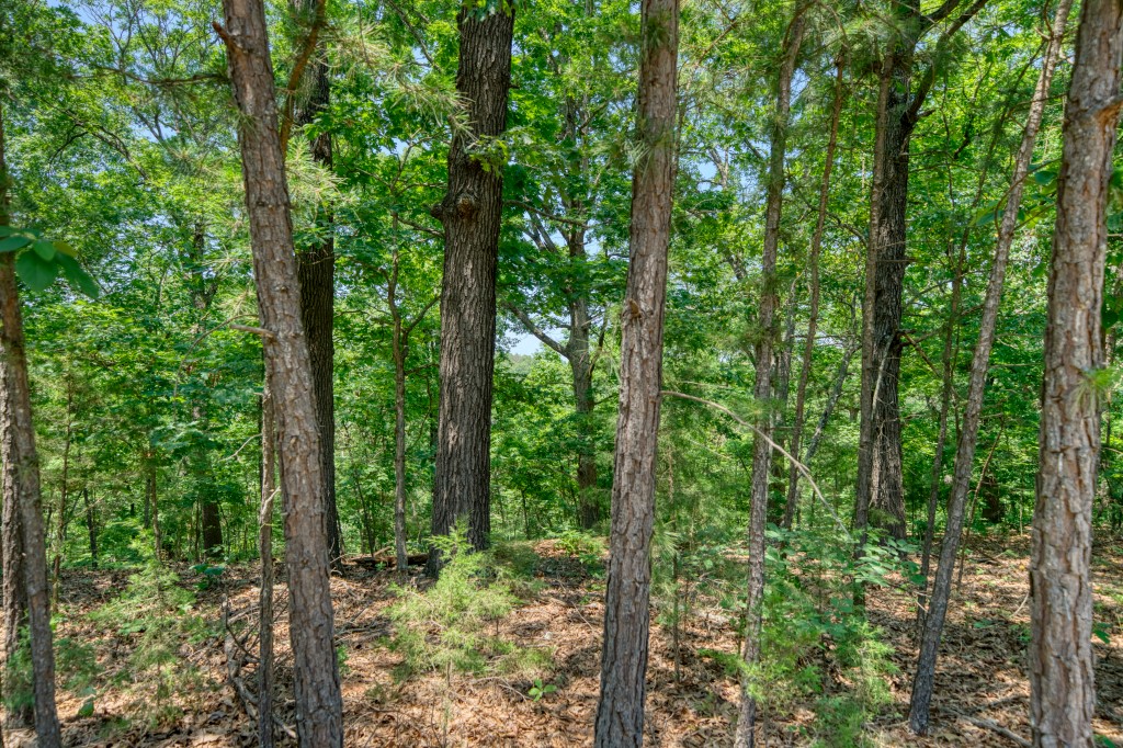 Hidden Valley Ranch Estates - Land